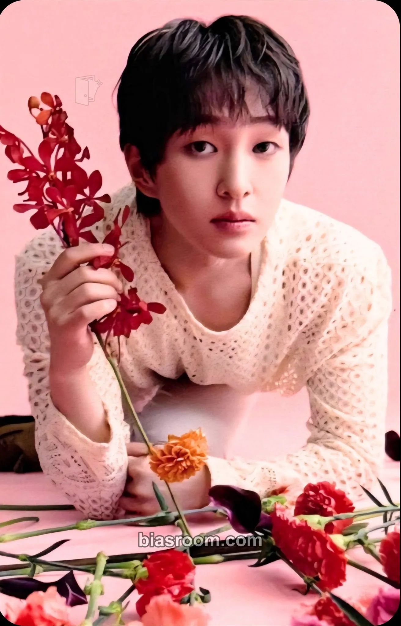 Onew SAKU Photocard - SHINee - SHINee K-pop photocard