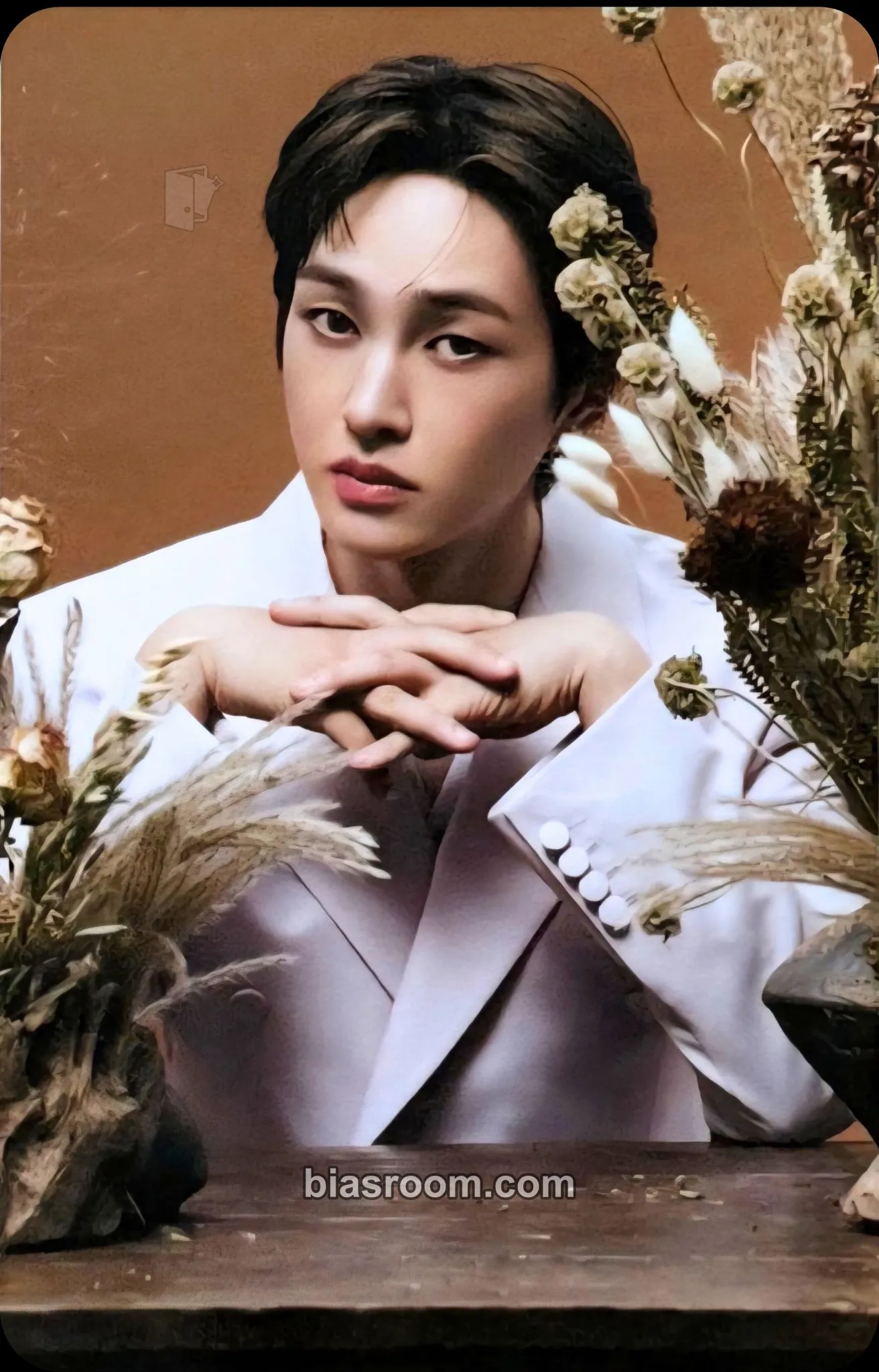 Onew SAKU Photocard - SHINee - SHINee K-pop photocard