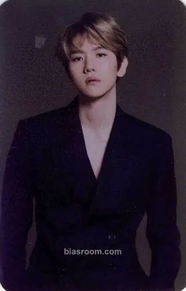 EXO - Baekhyun - Eribong Other lightstick version 3