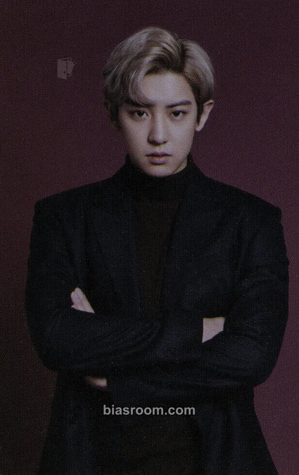 Chanyeol Lightstick MD Photocard - EXO - EXO K-pop photocard
