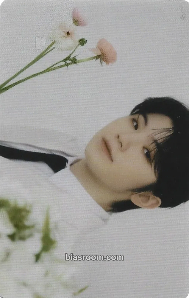 Woozi FML Photocard - SEVENTEEN - SEVENTEEN K-pop photocard