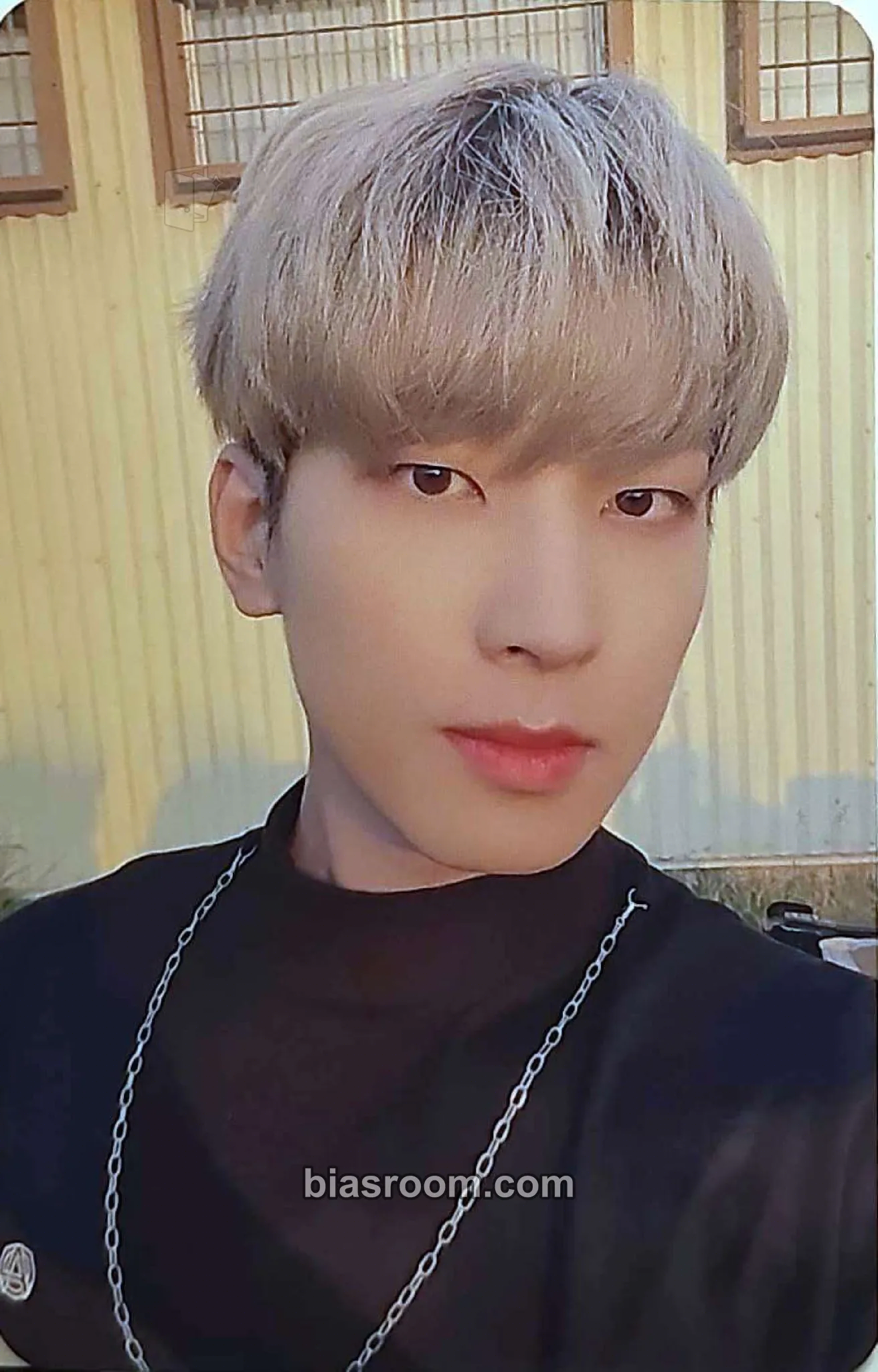 Wonwoo Your Choice Photocard - SEVENTEEN - SEVENTEEN K-pop photocard