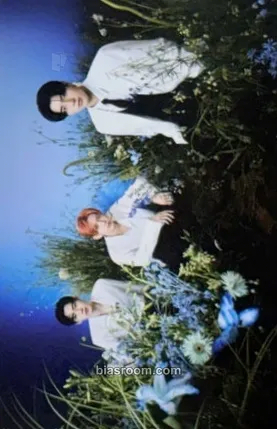 'WALK THE LINE' World Tour Photocard - ENHYPEN - ENHYPEN K-pop photocard