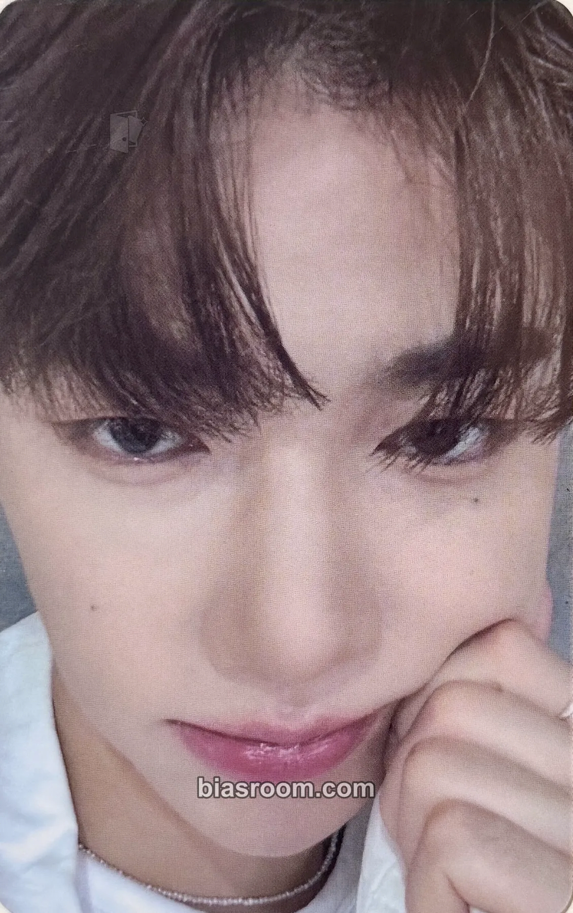 Hao Youth in the Shade Photocard - ZEROBASEONE - ZEROBASEONE K-pop photocard