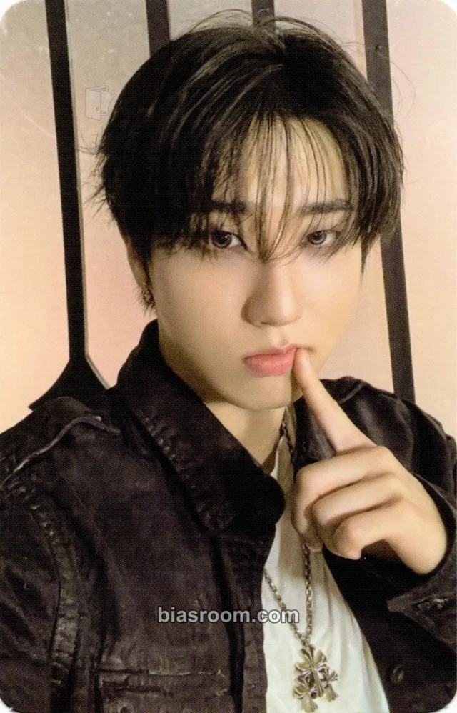 Stray Kids - HAN - Do It Album pre-order benefit (pob) evil skzoo speaker version album photocard