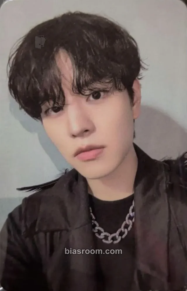 Stray Kids - Seungmin - Do It Album pre-order benefit (pob) evil skzoo speaker version album photocard