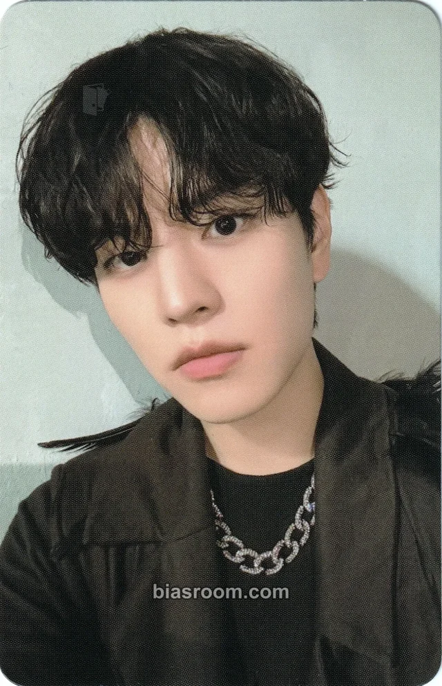Stray Kids - Seungmin - Do It Album pre-order benefit (pob) evil skzoo speaker version album photocard