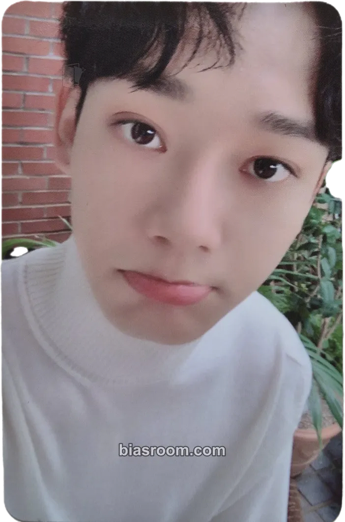 Chen Dear My Dear Photocard - EXO - EXO K-pop photocard