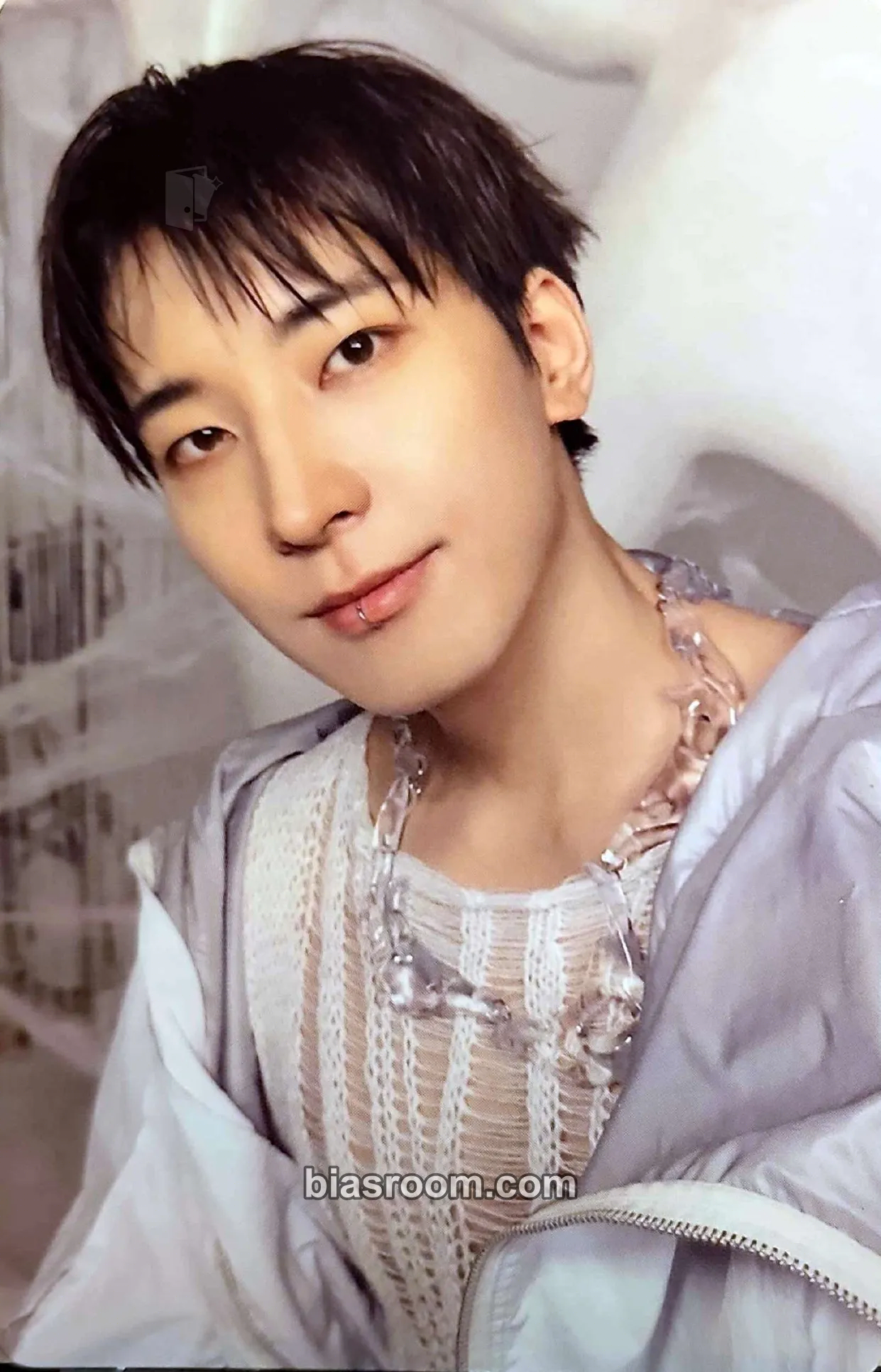 Wonwoo HAPPY BURSTDAY Photocard - SEVENTEEN - SEVENTEEN K-pop photocard