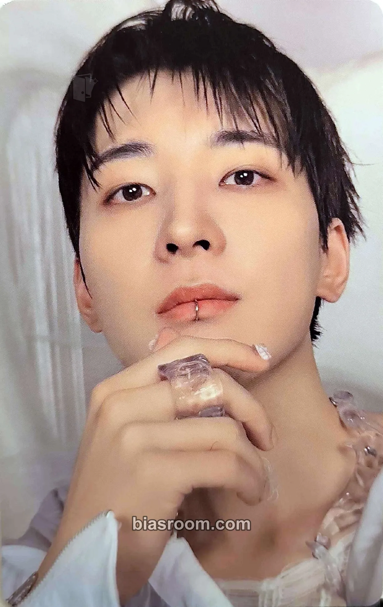 Wonwoo HAPPY BURSTDAY Photocard - SEVENTEEN - SEVENTEEN K-pop photocard