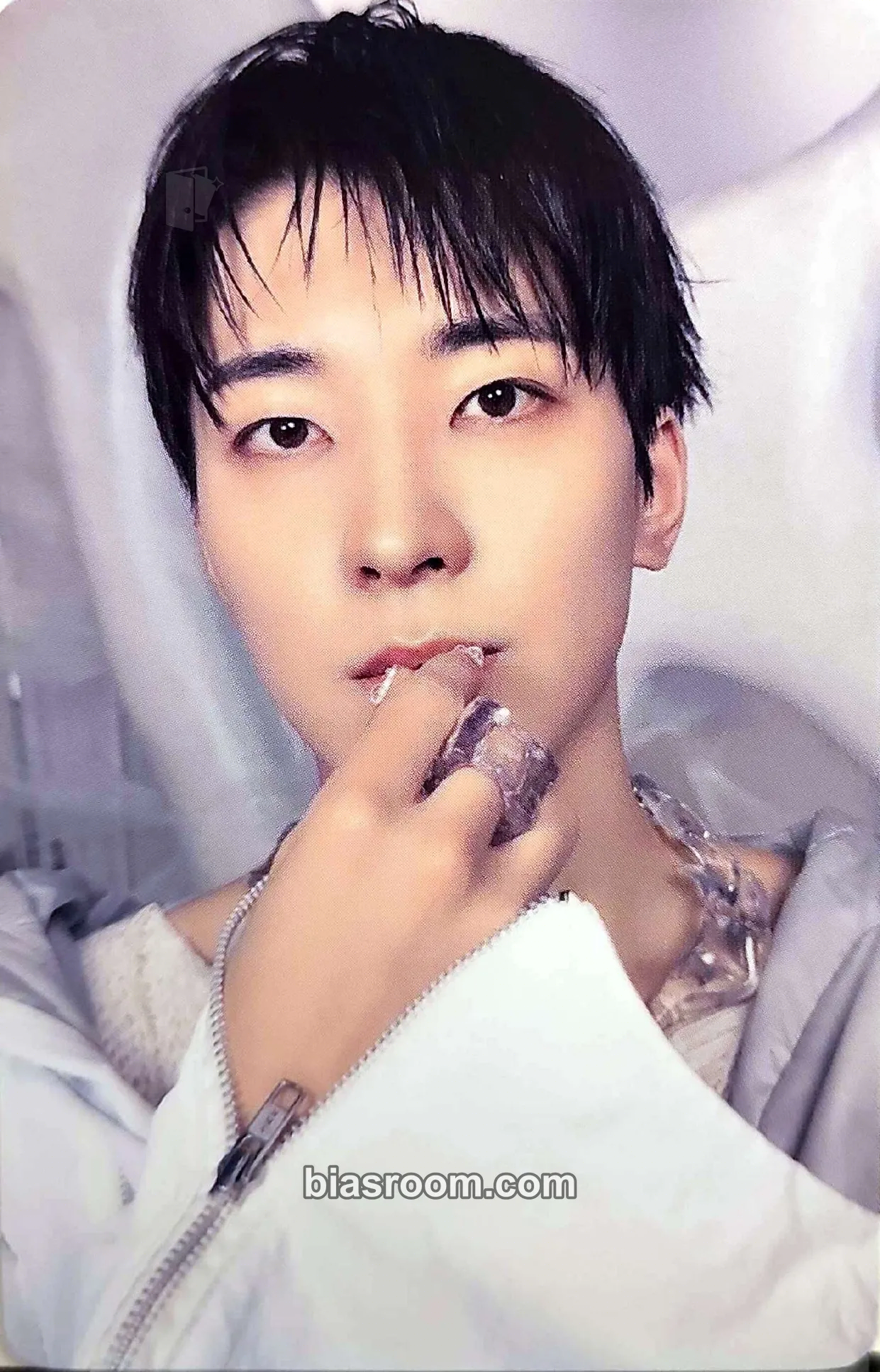 Wonwoo HAPPY BURSTDAY Photocard - SEVENTEEN - SEVENTEEN K-pop photocard