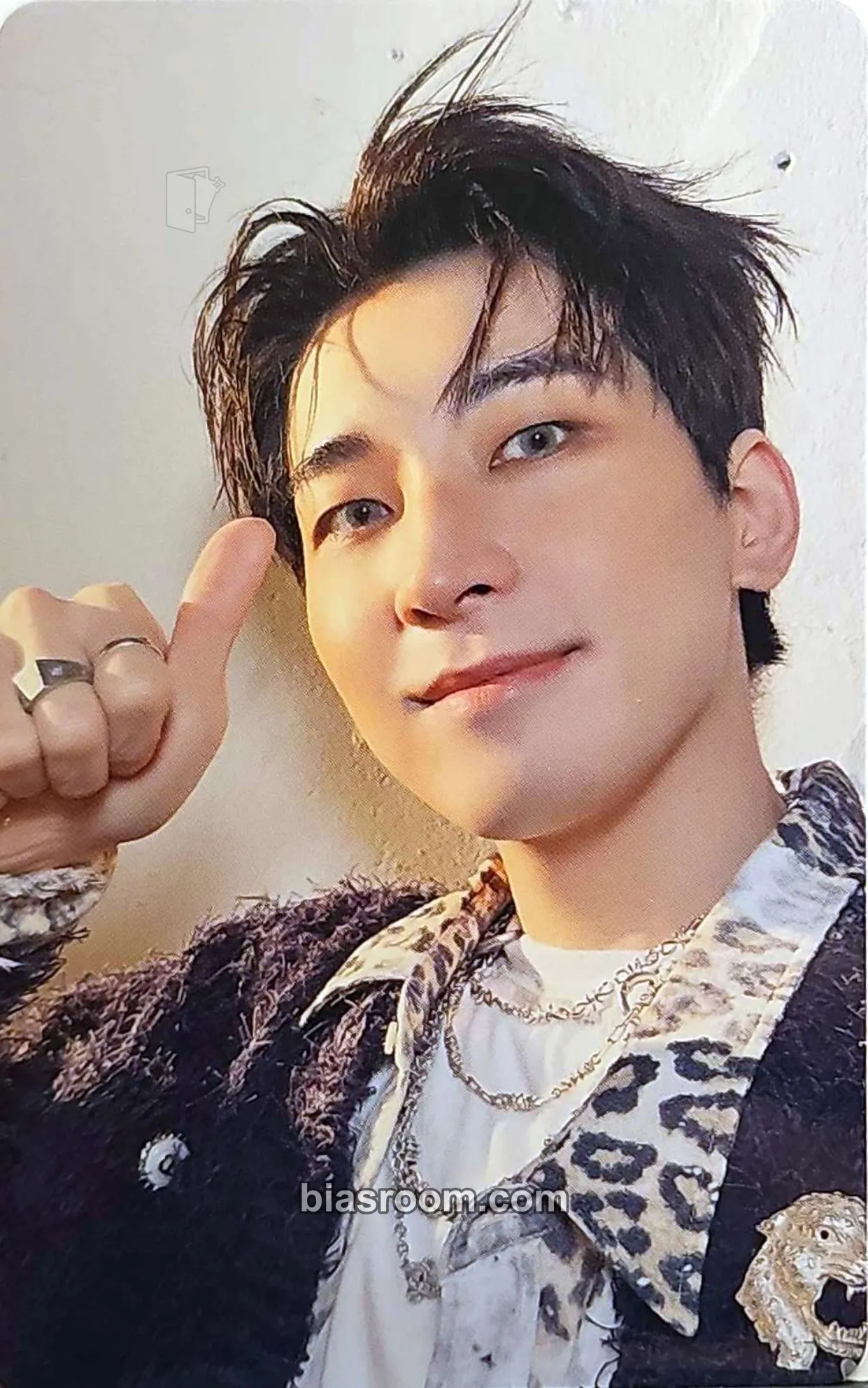 Wonwoo HAPPY BURSTDAY Photocard - SEVENTEEN - SEVENTEEN K-pop photocard