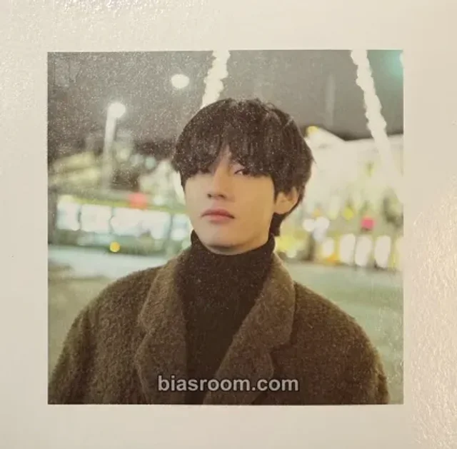 BTS - V - Winter Package 2020 Other accordion photo double-sided