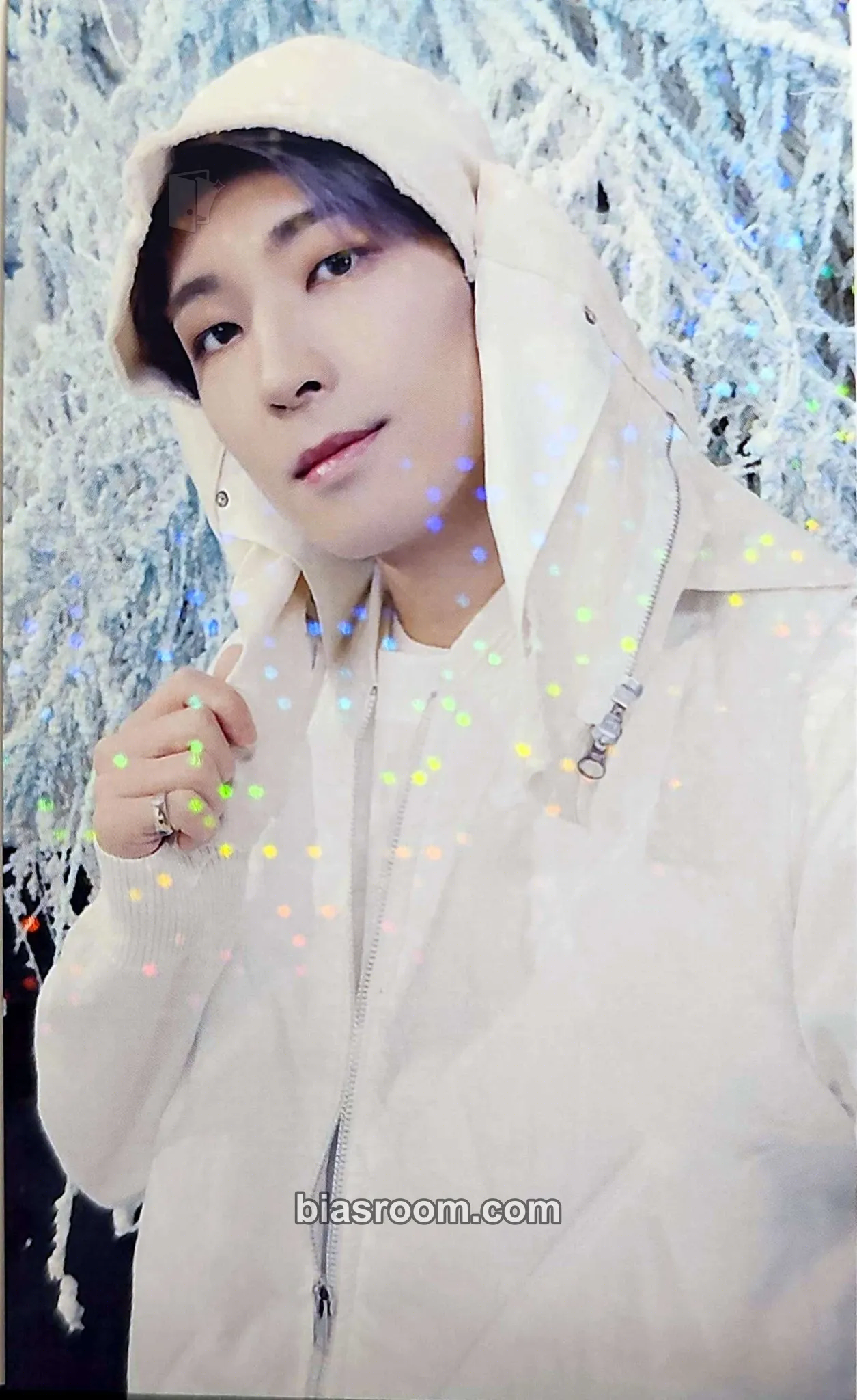 Wonwoo SECTOR 17 Photocard - SEVENTEEN - SEVENTEEN K-pop photocard