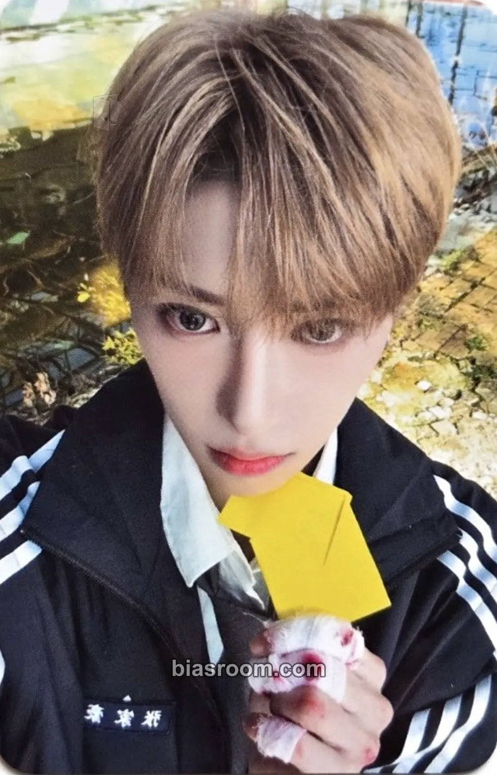 Arno EUPHORIA Photocard - ALPHA DRIVE ONE - ALPHA DRIVE ONE K-pop photocard
