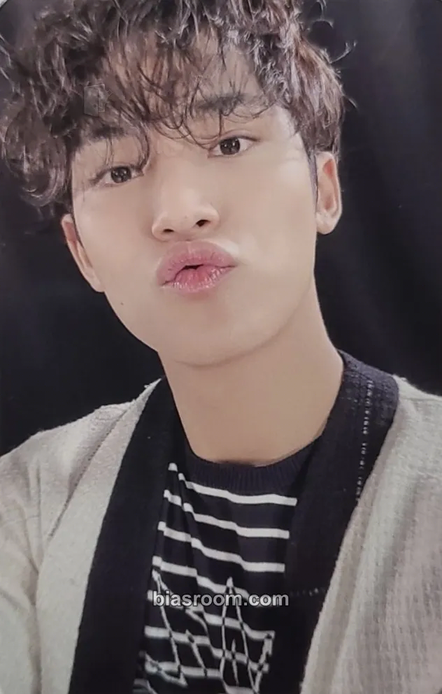 Mingyu 2022 6TH SVT IN CARAT LAND Photocard - SEVENTEEN - SEVENTEEN K-pop photocard