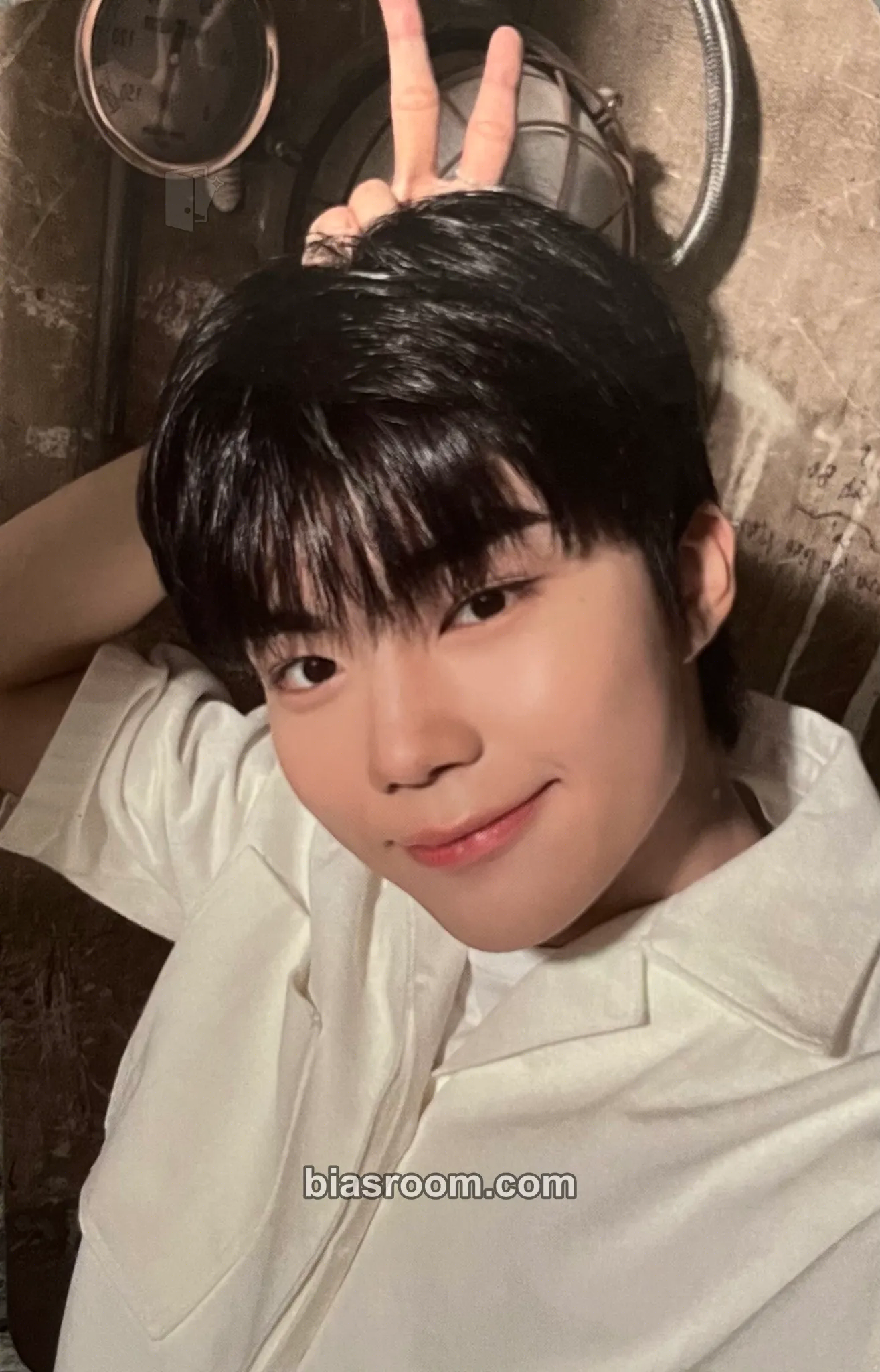 Gunwook Youth in the Shade Photocard - ZEROBASEONE - ZEROBASEONE K-pop photocard
