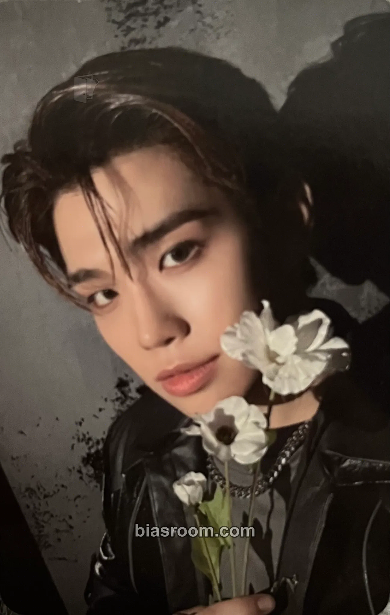 Taerae Youth in the Shade Photocard - ZEROBASEONE - ZEROBASEONE K-pop photocard