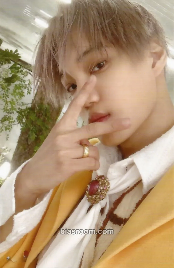 Kai KAI Photocard - EXO - EXO K-pop photocard