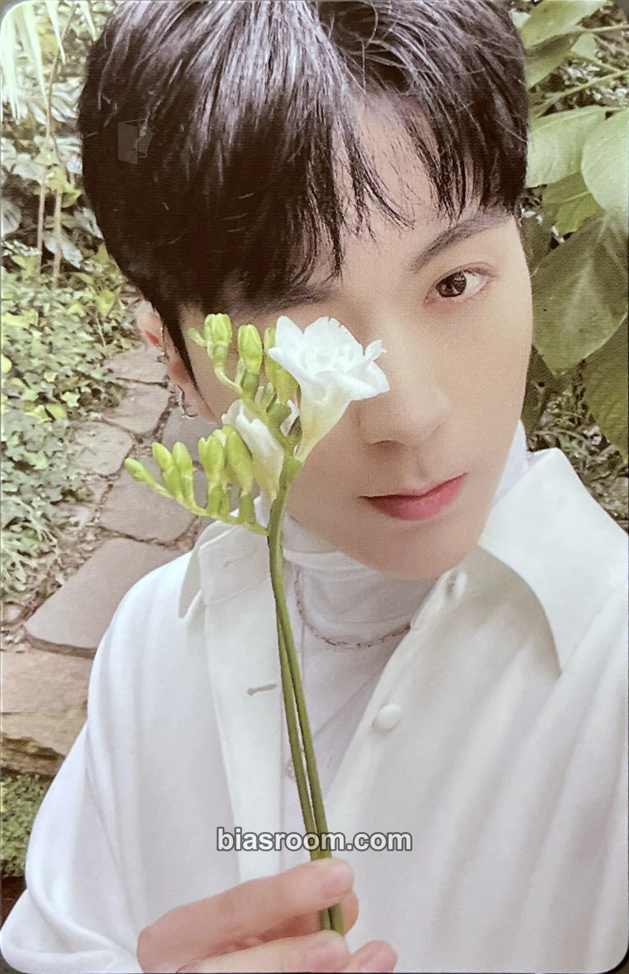 Sangwoo Just Begun Photocard - JustB - JustB K-pop photocard