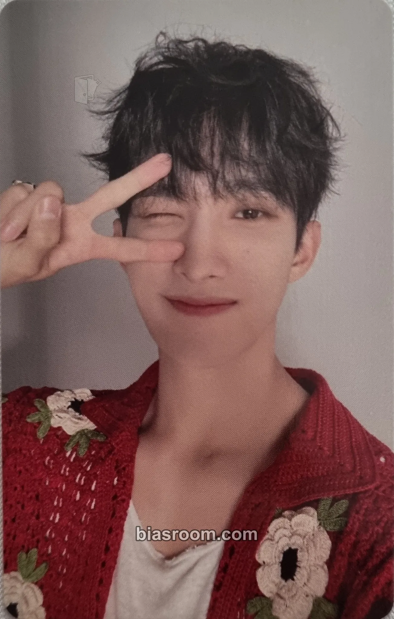 DK Seventeenth Heaven Photocard - SEVENTEEN - SEVENTEEN K-pop photocard