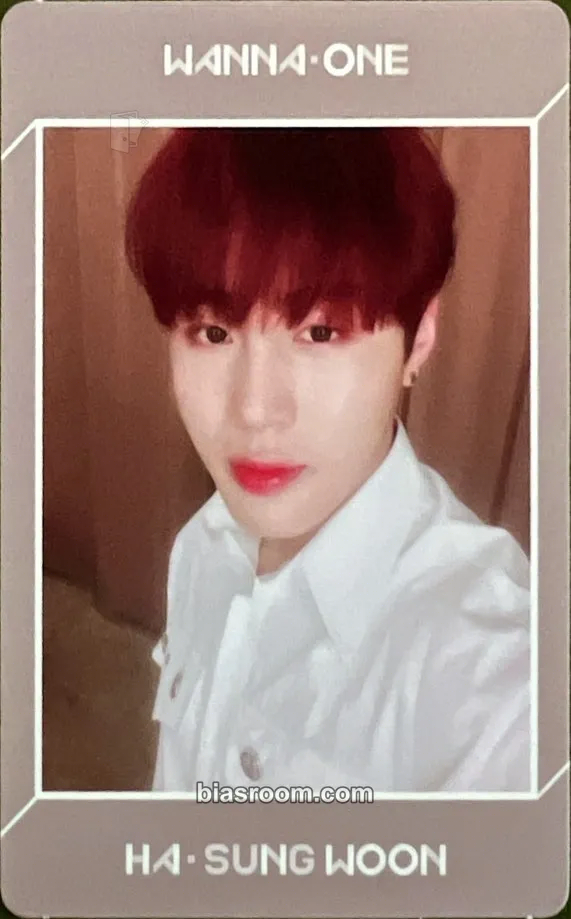 Ha Sung Woon 1÷x=1 (Undivided) Photocard - Wanna One - Wanna One K-pop photocard