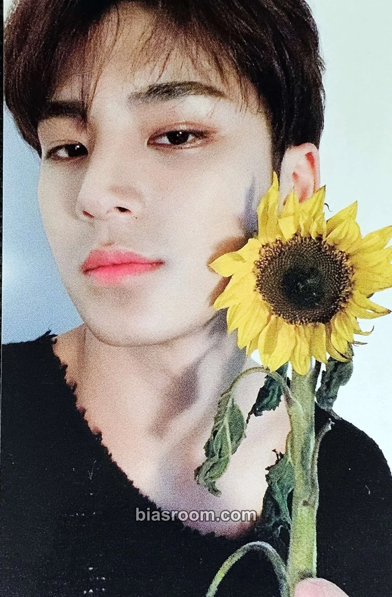 Mingyu You Made My Dawn Photocard - SEVENTEEN - SEVENTEEN K-pop photocard