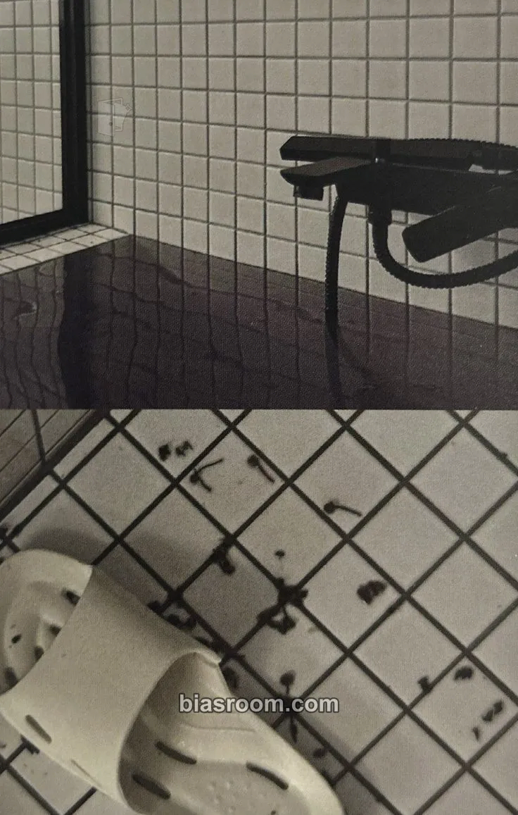 Catalog image