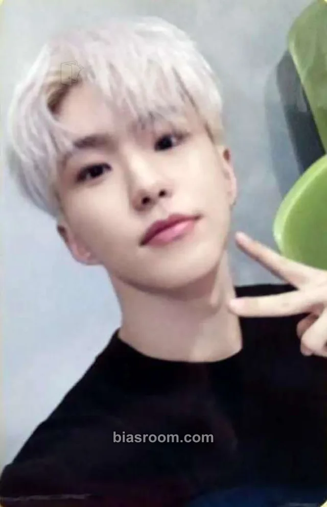 SEVENTEEN - Hoshi - SEVENTEEN x BE@RBRICK Other merch photocard