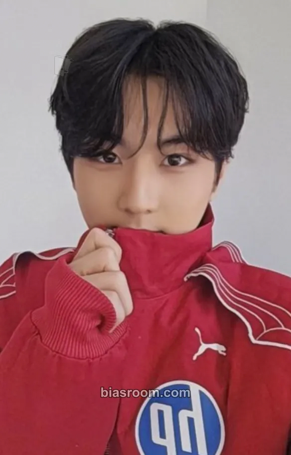 Jungwon DICON ISSUE N°30 SPECIAL EDITION ENHYPEN GOLDEN AGE A TYPE Photocard - ENHYPEN - ENHYPEN K-pop photocard