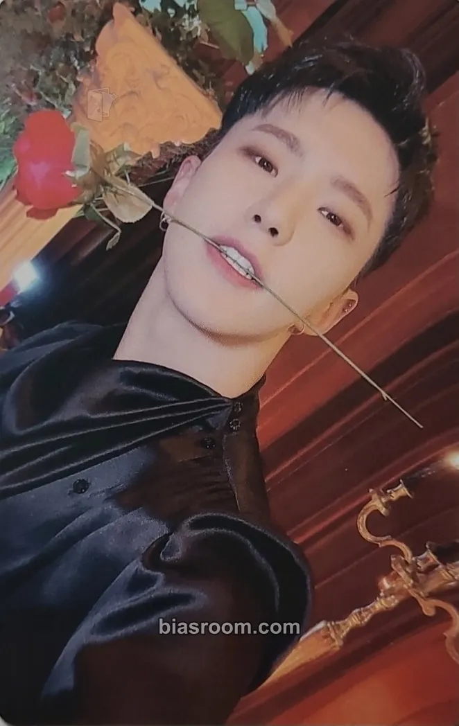 Hoshi 2023 Season's Greetings Photocard - SEVENTEEN - SEVENTEEN K-pop photocard