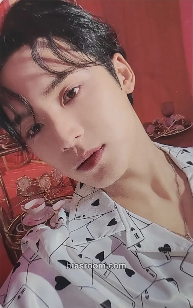 Mingyu 2023 Season's Greetings Photocard - SEVENTEEN - SEVENTEEN K-pop photocard