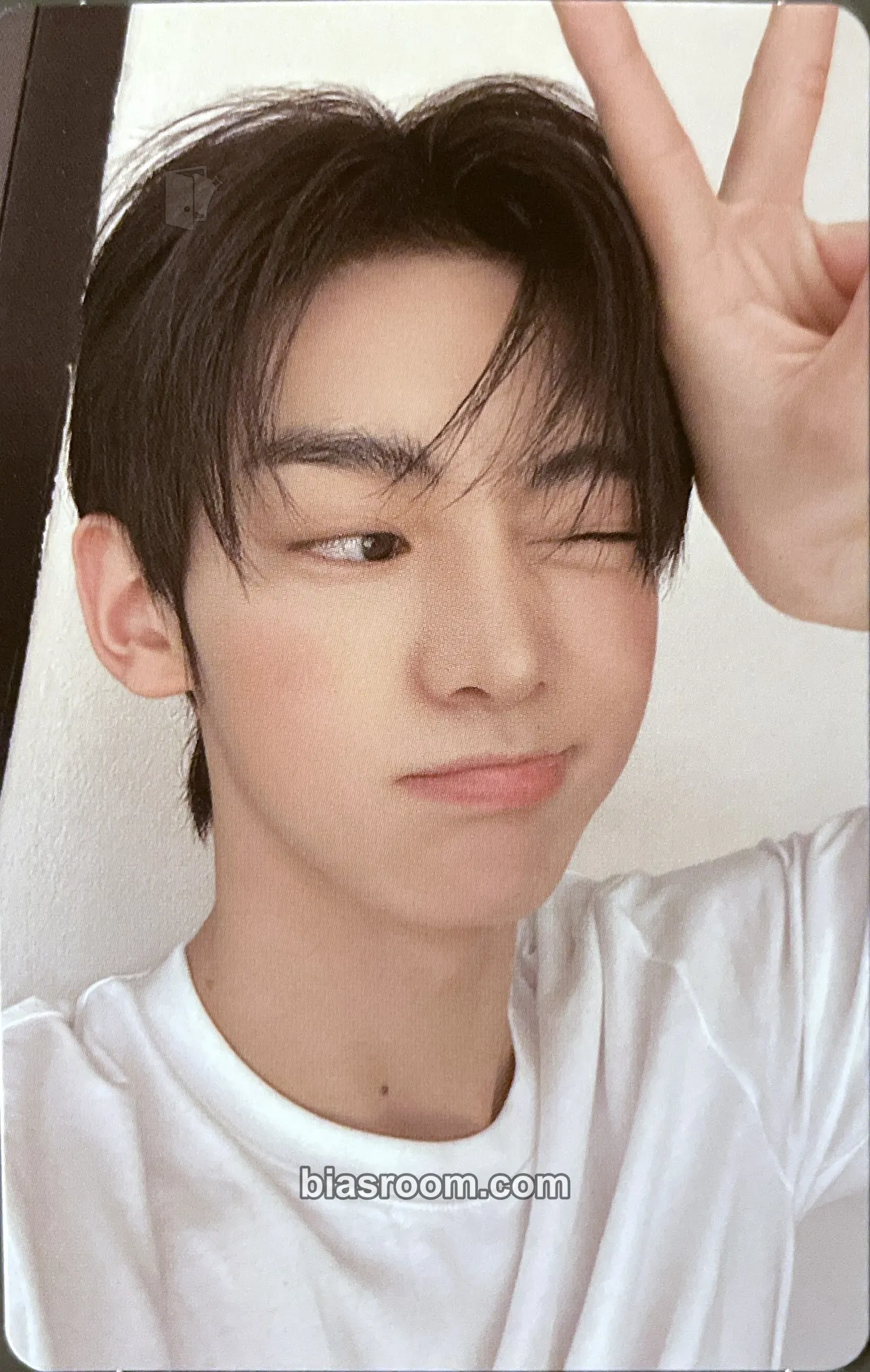 Hanjin SUMMER BEAT! Photocard - TWS - TWS K-pop photocard
