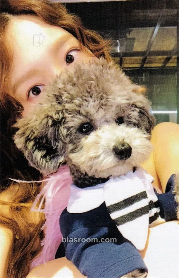 Taeyeon Something New Photocard - Taeyeon K-pop photocard