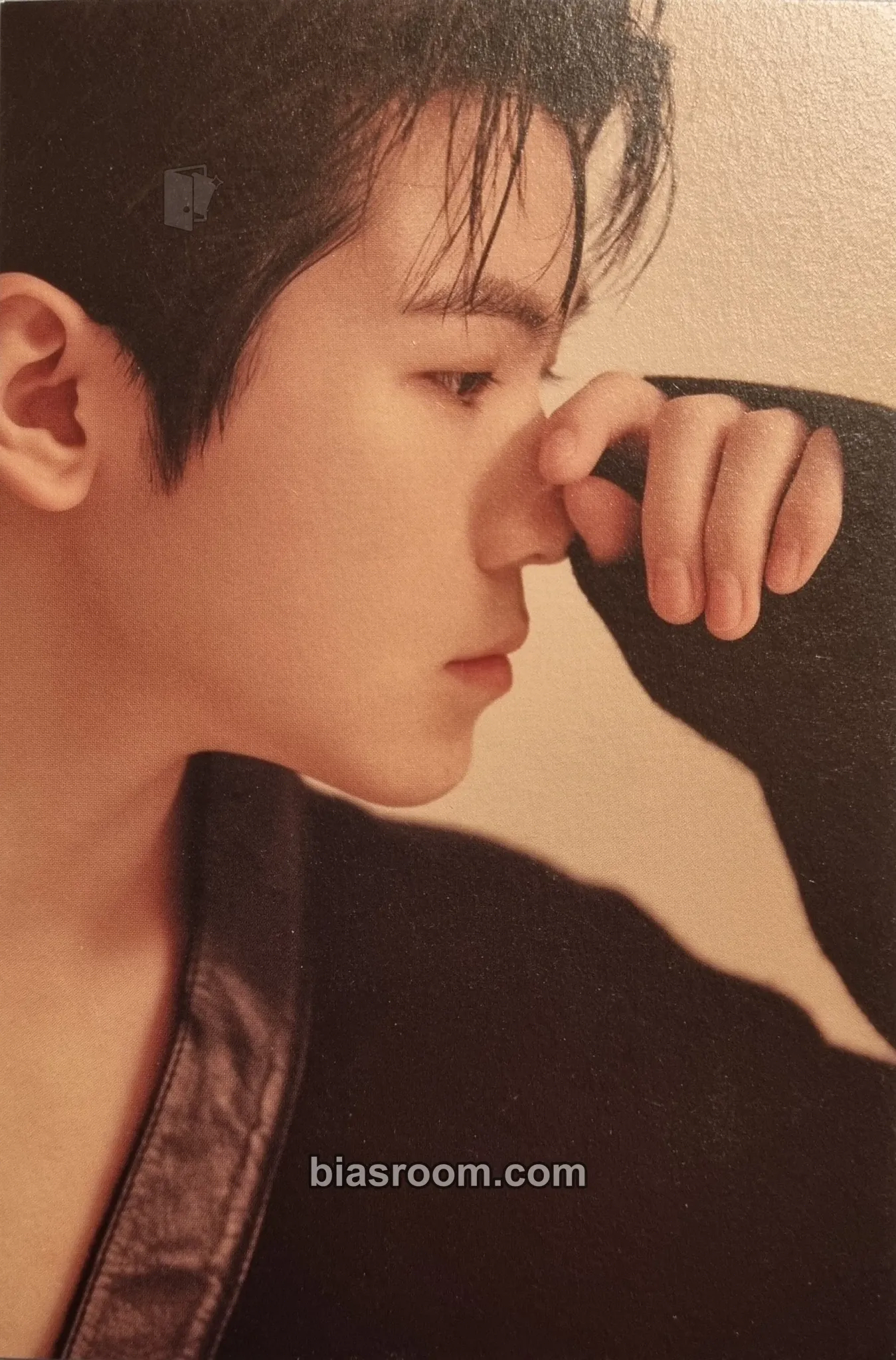 Woozi Your Choice Photocard - SEVENTEEN - SEVENTEEN K-pop photocard
