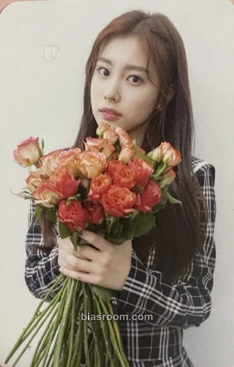 Hyewon COLOR*IZ Photocard - IZ*ONE - IZ*ONE K-pop photocard