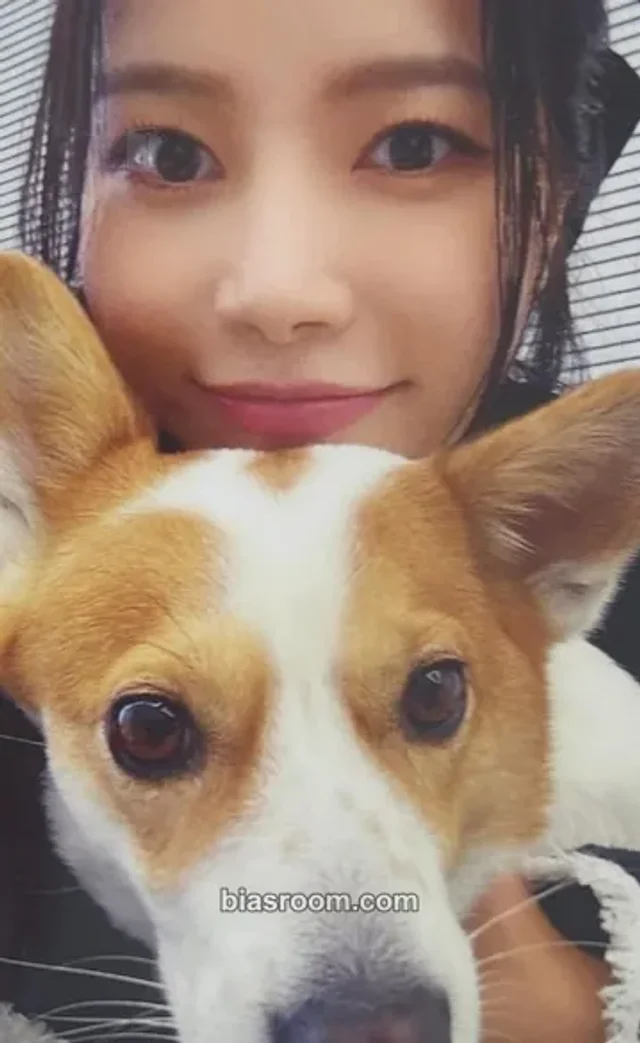 MAMAMOO - Solar - WANT Album lucky draw idolstore round 1