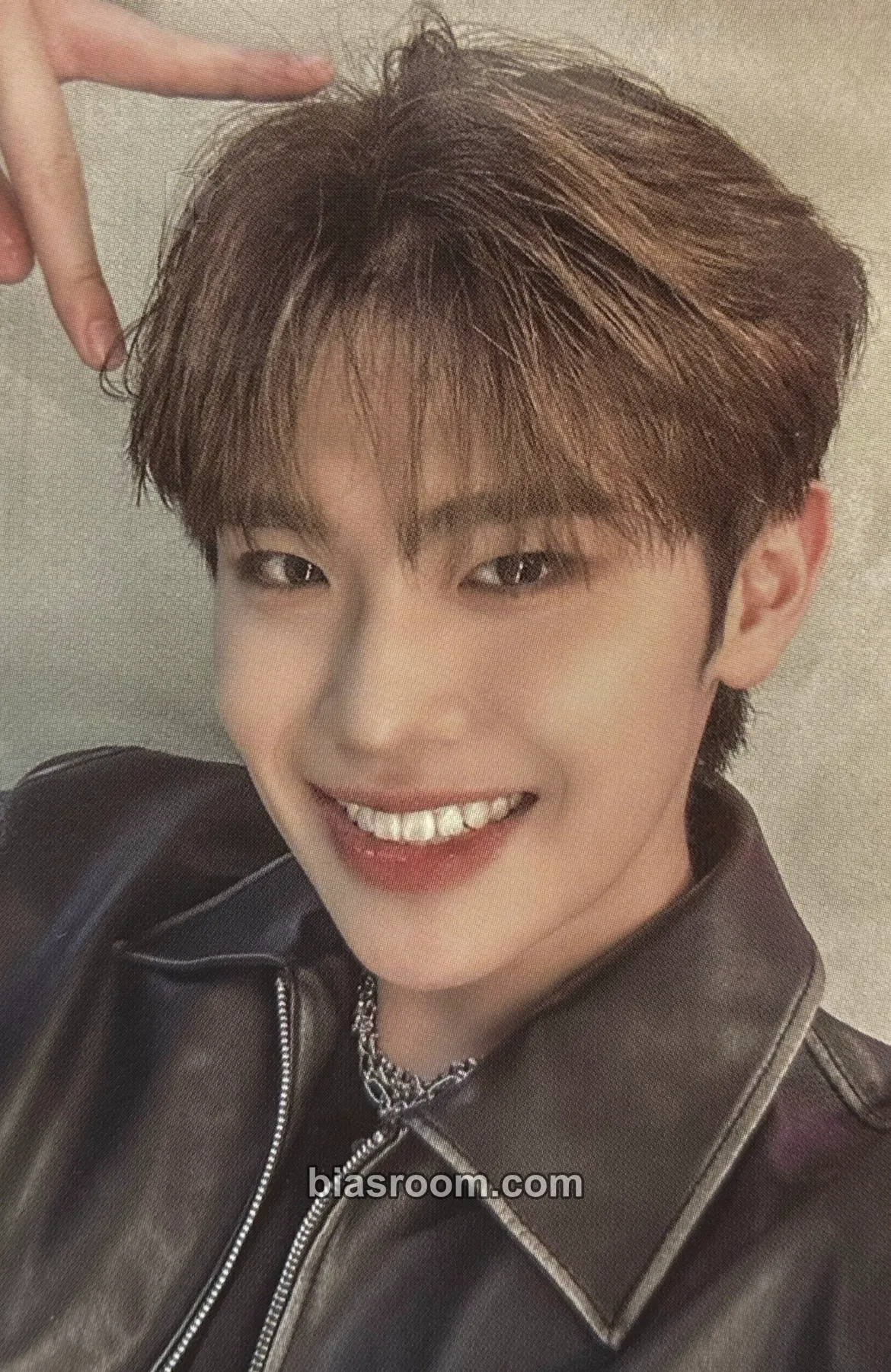 Taerae Youth in the Shade Photocard - ZEROBASEONE - ZEROBASEONE K-pop photocard