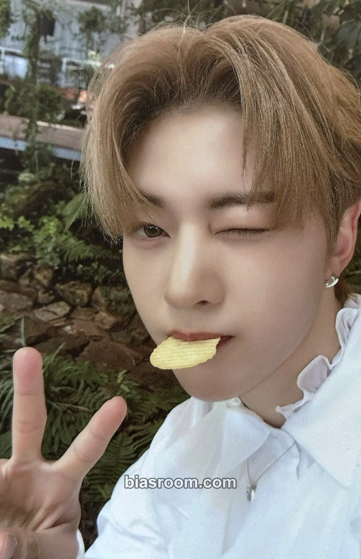 Matthew Youth in the Shade Photocard - ZEROBASEONE - ZEROBASEONE K-pop photocard