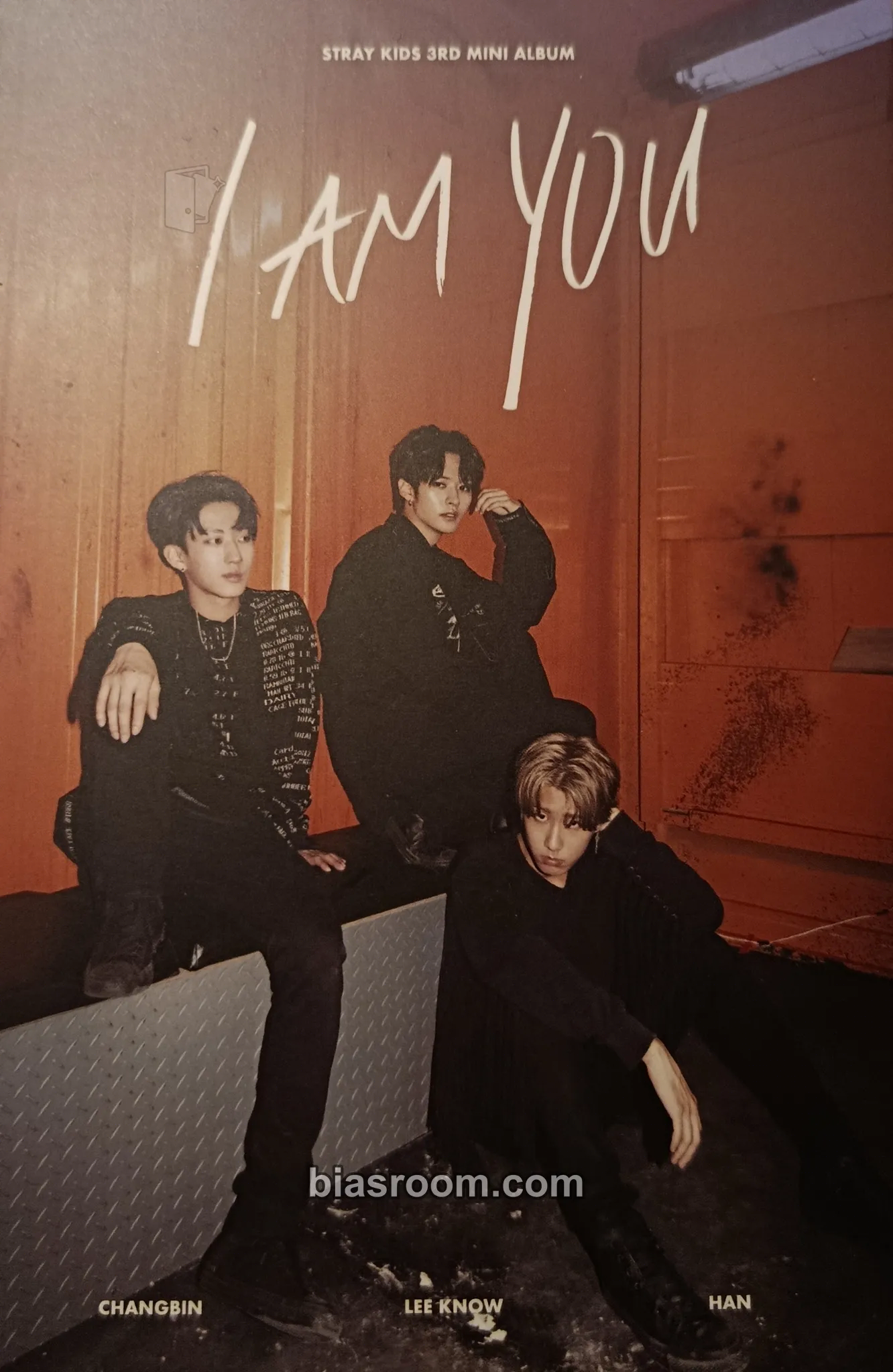 I am YOU Photocard - Stray Kids - Stray Kids K-pop photocard
