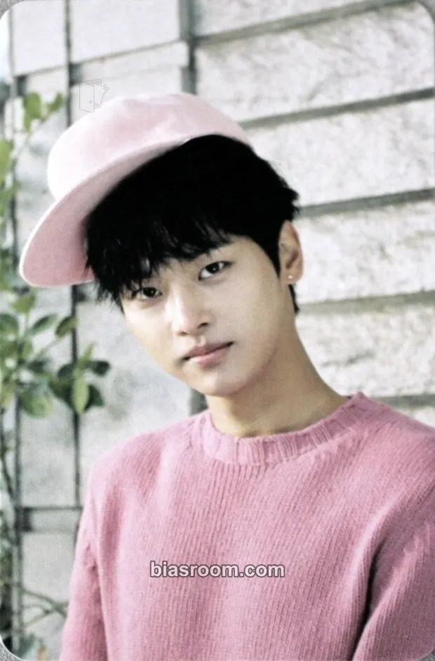N Boys' Record Photocard - VIXX - photocard K-pop VIXX