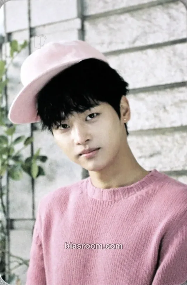 VIXX - N - Boys' Record Album album photocard