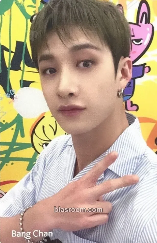 Stray Kids - Bang Chan - Stray Kids X SHINHAN CARD Other brand collaboration shinhan card