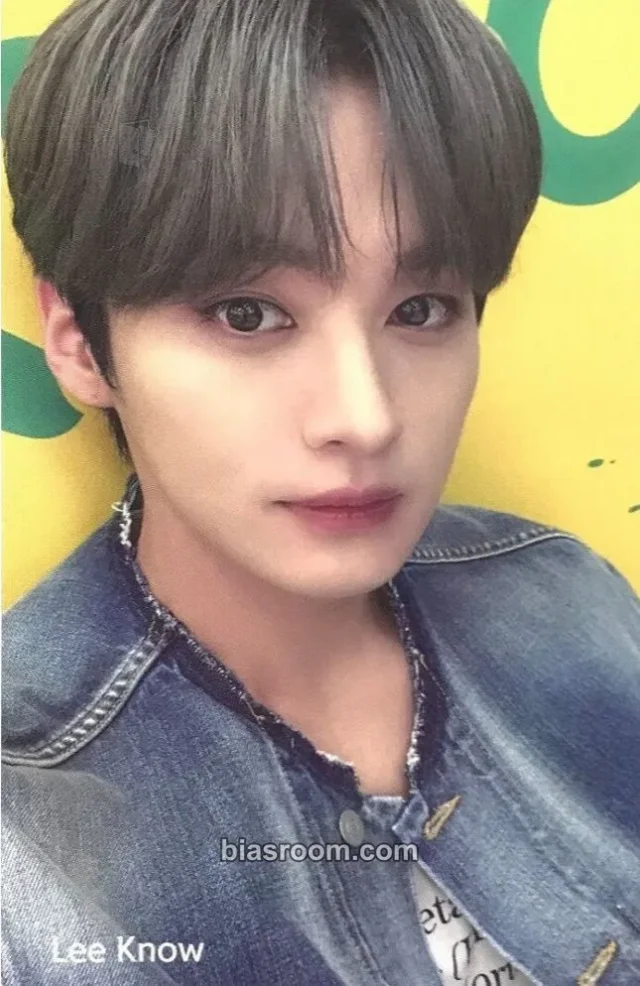Stray Kids - Lee Know - Stray Kids X SHINHAN CARD Other brand collaboration shinhan card