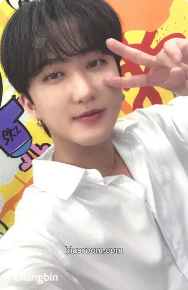 Stray Kids - Changbin - Stray Kids X SHINHAN CARD Other brand collaboration shinhan card