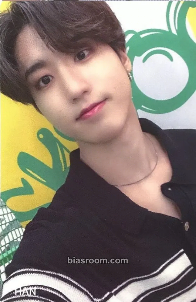 HAN SHINHAN CARD x Stray Kids Photocard - Stray Kids - Stray Kids K-pop photocard