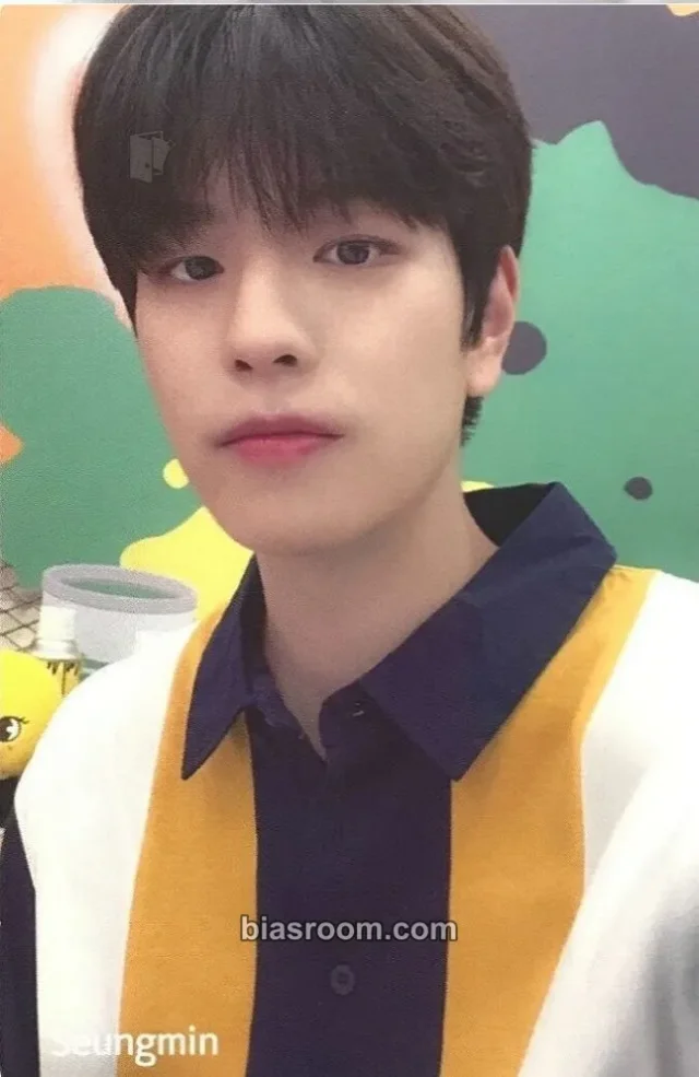 Stray Kids - Seungmin - Stray Kids X SHINHAN CARD Other brand collaboration shinhan card