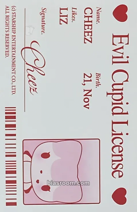Liz IVE SECRET Photocard - IVE - IVE K-pop photocard