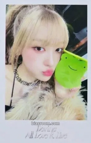 Choerry Dall Photocard - ARTMS - ARTMS K-pop photocard