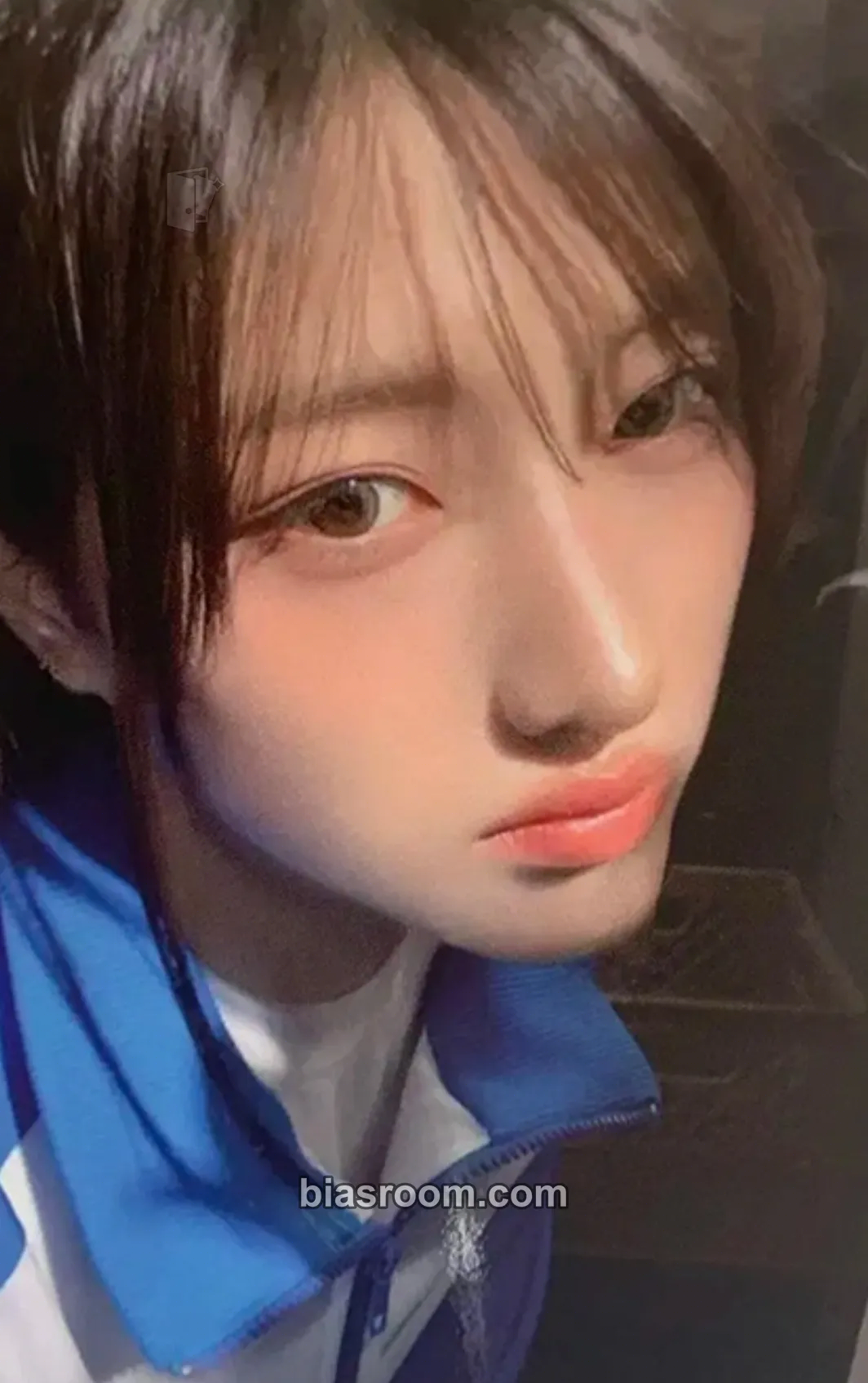 Junhwi My Name Is… Photocard - SAY MY NAME - SAY MY NAME K-pop photocard